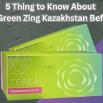 5 Thing to Know About TEREA Green Zing Kazakhstan Before Buy