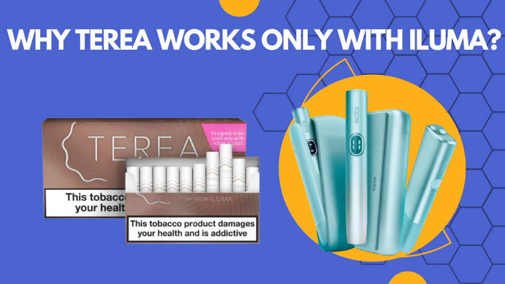 TEREA & ILUMA: Dubai User Compatibility Guide