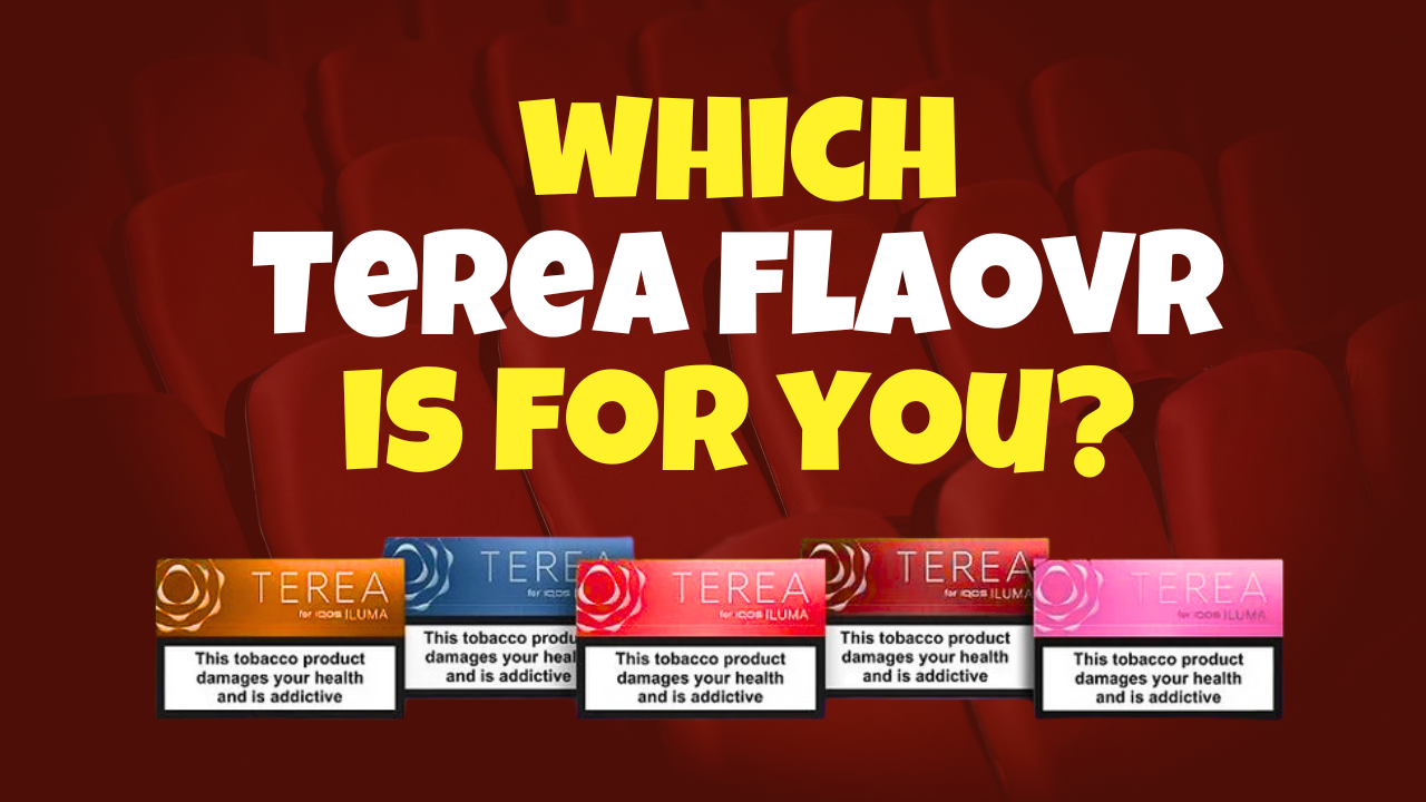 Guide to TEREA Origin Flavors in UAE helping beginners choose between mild tobacco and menthol options